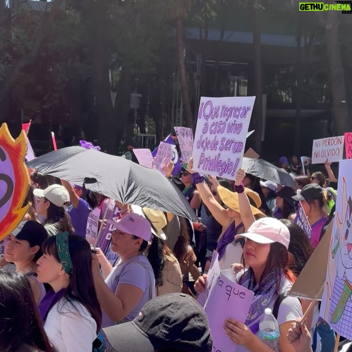 Julieta Grajales - 4K Likes - Una persona feminista es cualquiera que reconozca la igualdad y la plena humanidad en mujeres y hombres.
💜🪬✨✨ 💜🪬✨✨✨

El día que decidí habitar la ternura, la convertí en mi política.
“Por qué abrazarnos en este mundo tan hostil también es una forma de luchar”. By @tremendas.ec 

Las amo @fiona.hadassa @zoe.lika @borderhoppingvegan mis chicas preciosas.💜✨✨✨✨✨✨✨⚡️ #8m #8m2025 #8marzo  #feminist #feministart