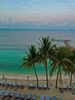 Julieta Grajales Instagram - Every step you take, what ever direction you choose, is a step towards your divinity. ✨✨✨✨
What an amazing experience! at @almareislamujeres