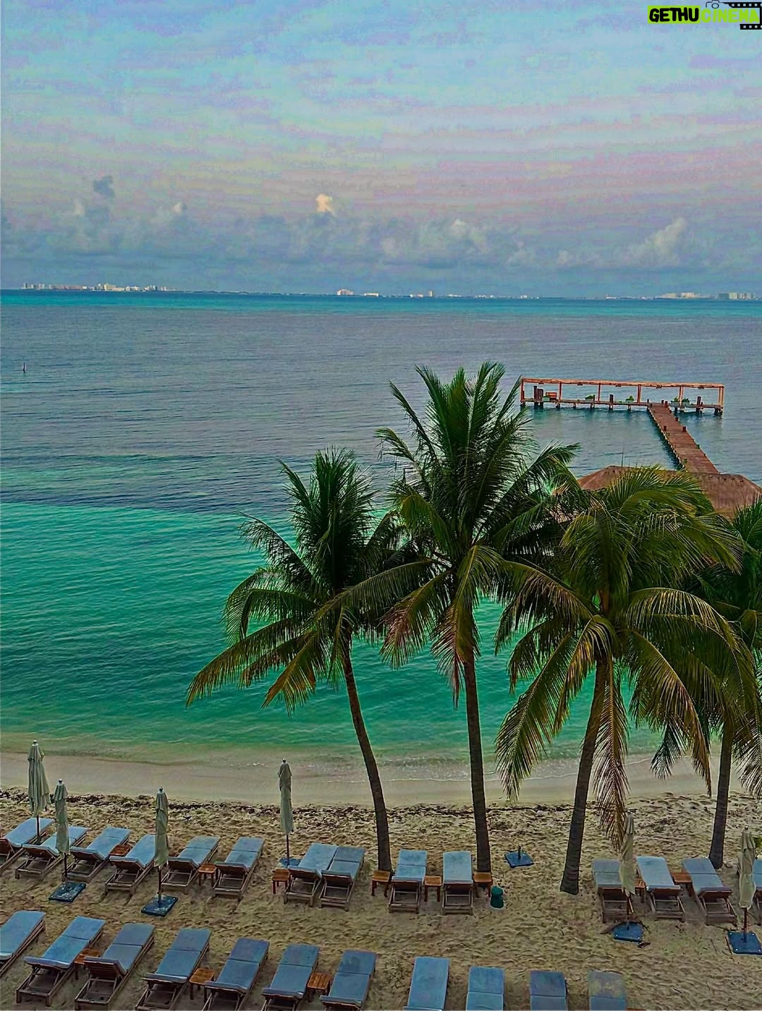 Julieta Grajales - 6K Likes - Every step you take, what ever direction you choose, is a step towards your divinity. ✨✨✨✨

What an amazing experience! at @almareislamujeres