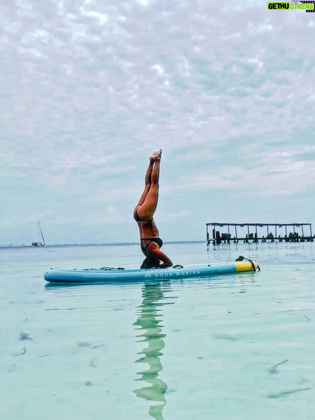 Julieta Grajales - 6K Likes - Every step you take, what ever direction you choose, is a step towards your divinity. ✨✨✨✨

What an amazing experience! at @almareislamujeres