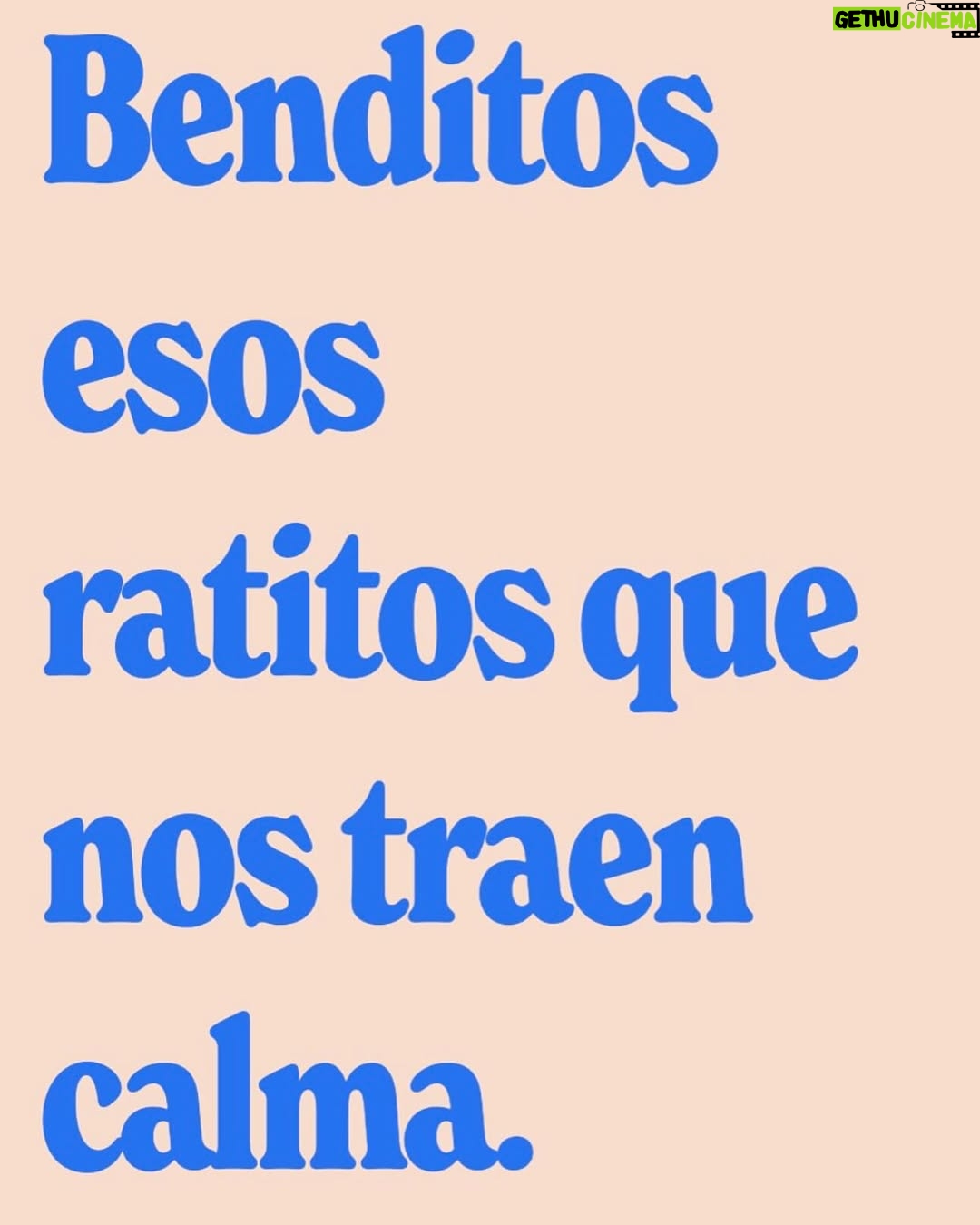 Julieta Grajales - 65.5K Likes - Benditos esos días que nos traen calma!! ❤️🫶✨👯
Feliz vida Querida amiga @fiona.hadassa Love you.