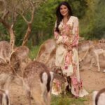 Jumana Murad