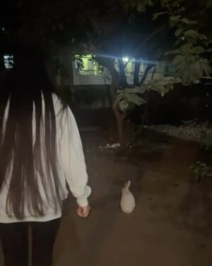 Kairavi Dayal Instagram - December dump ~ ending the year on a good note 🎐
