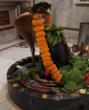 Kamya Vasa Instagram - तेरी दीवानी..🔱
Happy Mahashivratri 💗
.
.
.
.
.
.
.
.
.
.
.
#mahashivratri