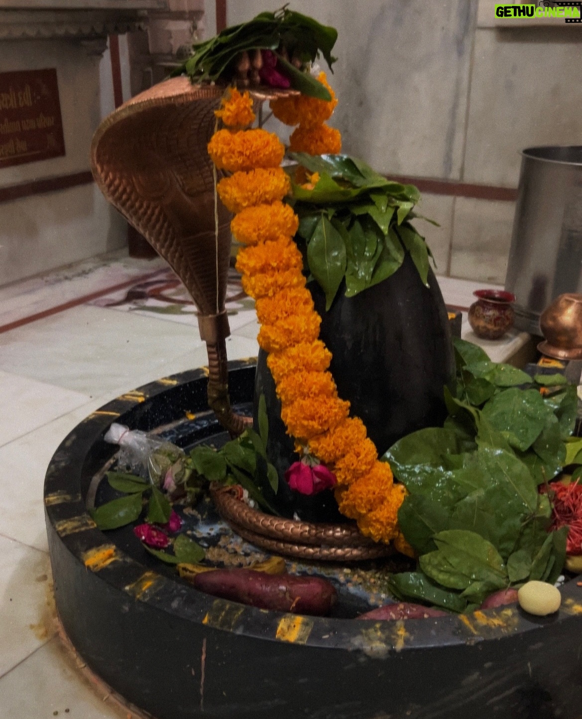 Kamya Vasa - 11.3K Likes - तेरी दीवानी..🔱
Happy Mahashivratri 💗
.
.
.
.
.
.
.
.
.
.
.
#mahashivratri