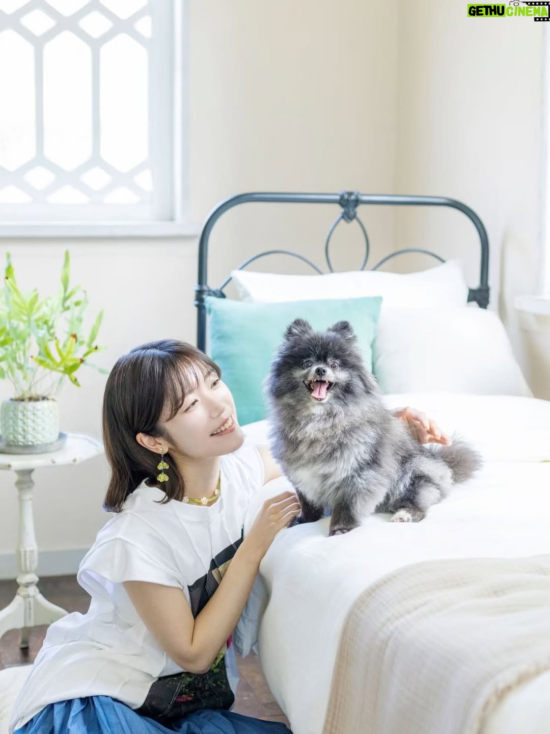 Karen Miyama - 2.8K Likes - 愛犬雑誌『Wan』10月号の表紙を
愛犬むすびと担当させていただきました✨

記念すべき回に呼んでいただき光栄です
かわいいむすびの写真とインタビューも盛りだくさんですのでぜひ…🥹

©AYAKO HACHISU
