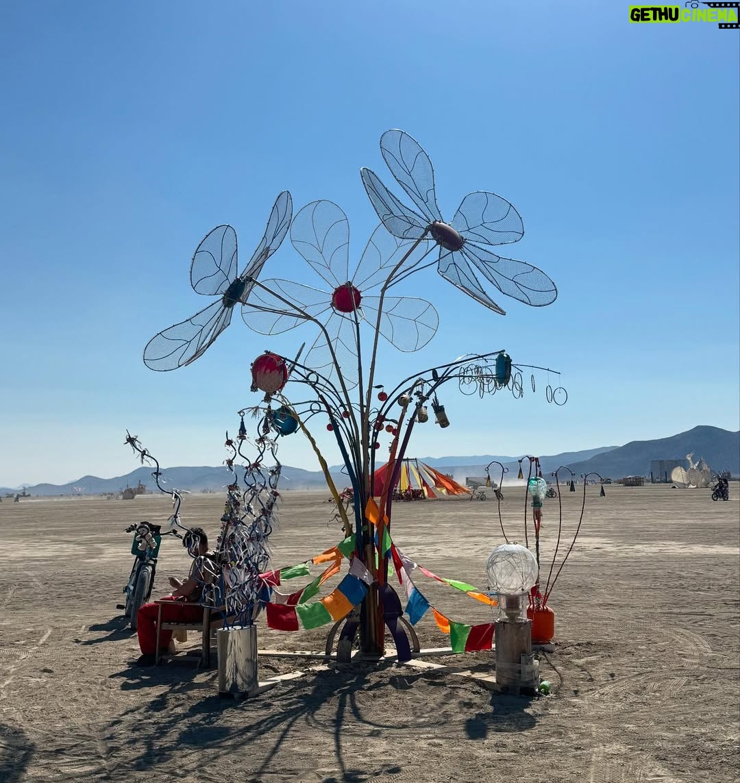 Karolina Benefield - 708 Likes - Dust   love = magic