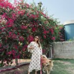 Kashish Dadhwal