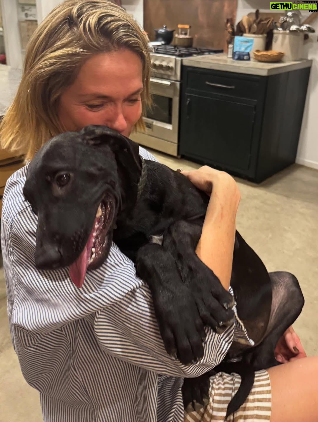 Katie Aselton - 6.9K Likes - I would like to introduce you to the newest duplass... please meet FRANCES. our intention was to foster her, but from the second we laid eyes on her, we knew she was meant for us. she is sweet and goofy and so loving. best birthday present ever. 

thank you to @thearcofca for saving Fran. our family will be forever better for it. if you have the space in your life, fostering/rescuing is so rewarding. 
 
and yes. I know this is technically a "foster fail," but the whole point of fostering is to find a great home for these dogs, right?! well, we did. ITS OURS 🤗 sounds like a foster win for us.