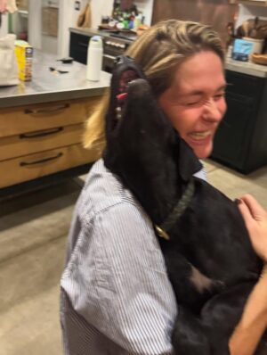 Katie Aselton Instagram - I would like to introduce you to the newest duplass... please meet FRANCES. our intention was to foster her, but from the second we laid eyes on her, we knew she was meant for us. she is sweet and goofy and so loving. best birthday present ever. 

thank you to @thearcofca for saving Fran. our family will be forever better for it. if you have the space in your life, fostering/rescuing is so rewarding. 
 
and yes. I know this is technically a "foster fail," but the whole point of fostering is to find a great home for these dogs, right?! well, we did. ITS OURS 🤗 sounds like a foster win for us.