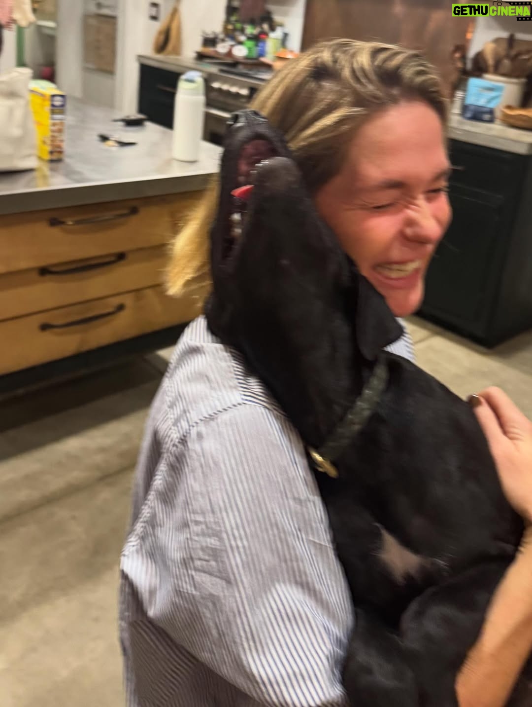 Katie Aselton - 6.9K Likes - I would like to introduce you to the newest duplass... please meet FRANCES. our intention was to foster her, but from the second we laid eyes on her, we knew she was meant for us. she is sweet and goofy and so loving. best birthday present ever. 

thank you to @thearcofca for saving Fran. our family will be forever better for it. if you have the space in your life, fostering/rescuing is so rewarding. 
 
and yes. I know this is technically a "foster fail," but the whole point of fostering is to find a great home for these dogs, right?! well, we did. ITS OURS 🤗 sounds like a foster win for us.
