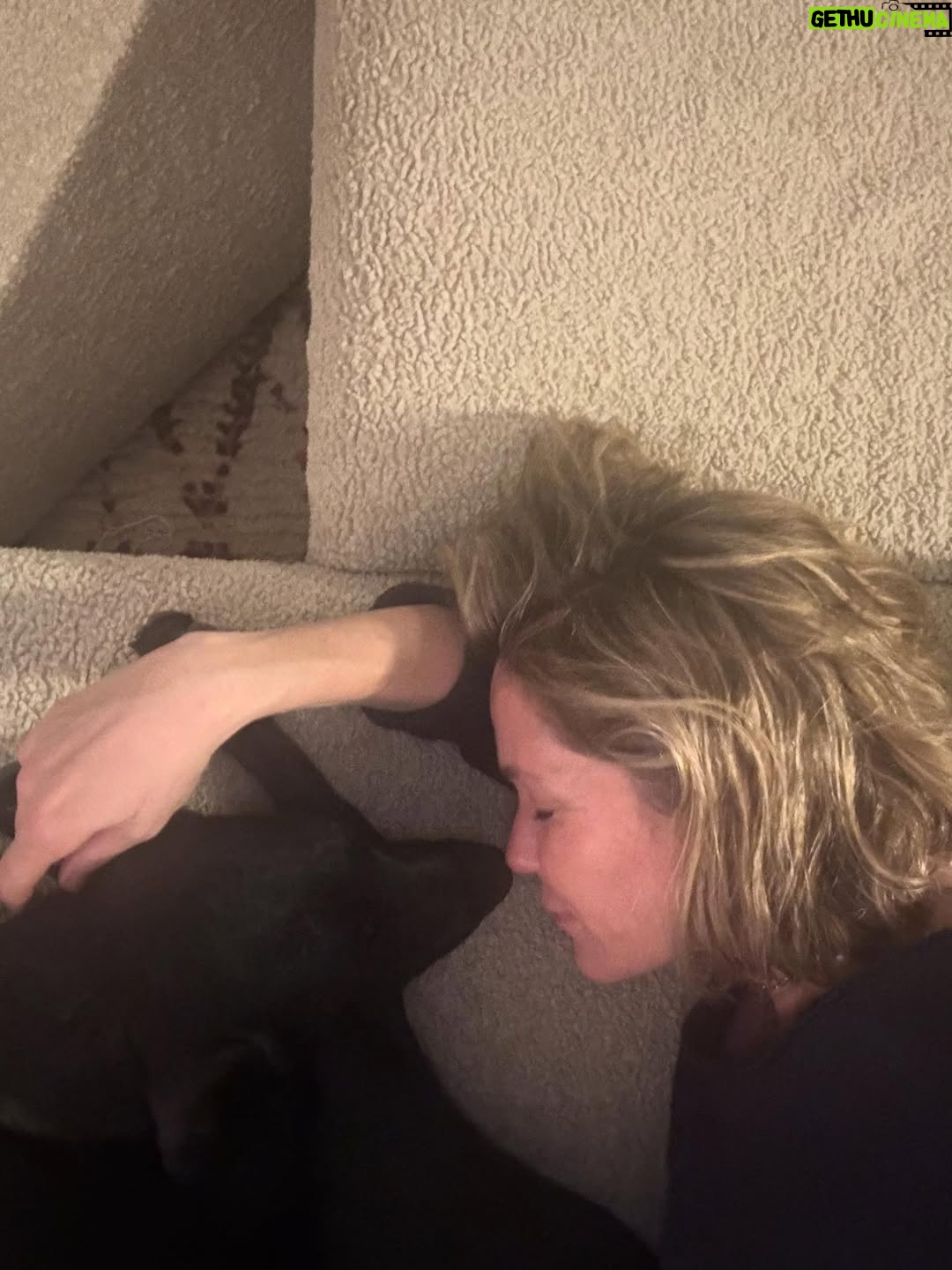 Katie Aselton - 6.9K Likes - I would like to introduce you to the newest duplass... please meet FRANCES. our intention was to foster her, but from the second we laid eyes on her, we knew she was meant for us. she is sweet and goofy and so loving. best birthday present ever. 

thank you to @thearcofca for saving Fran. our family will be forever better for it. if you have the space in your life, fostering/rescuing is so rewarding. 
 
and yes. I know this is technically a "foster fail," but the whole point of fostering is to find a great home for these dogs, right?! well, we did. ITS OURS 🤗 sounds like a foster win for us.