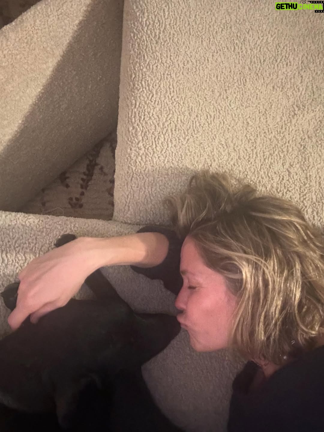 Katie Aselton - 6.9K Likes - I would like to introduce you to the newest duplass... please meet FRANCES. our intention was to foster her, but from the second we laid eyes on her, we knew she was meant for us. she is sweet and goofy and so loving. best birthday present ever. 

thank you to @thearcofca for saving Fran. our family will be forever better for it. if you have the space in your life, fostering/rescuing is so rewarding. 
 
and yes. I know this is technically a "foster fail," but the whole point of fostering is to find a great home for these dogs, right?! well, we did. ITS OURS 🤗 sounds like a foster win for us.