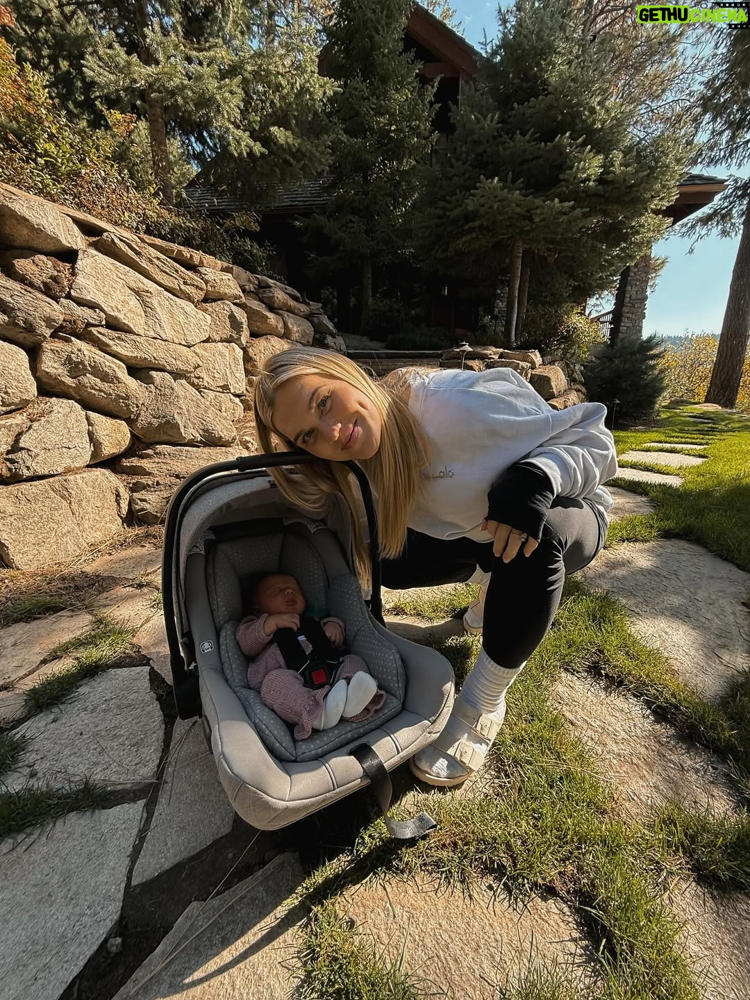 Katrin Tanja Davidsdottir - 48.8K Likes - 2 weeks of Emberly 🤎🐻🫶🏼
