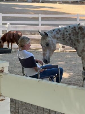 Kelly Noonan Instagram - On Friday after a heavy two days I did Equine Therapy with my brilliant facilitator @kateneliganequinecoach.
Horses are so sensitive. So good. So beautiful. But their wildness, strength, and size has always scared me. I first started doing equine therapy to get over my fear of horses but what has unfolded and what heals every time I work with horses has been massive, awe-inspiring, and mystical.
Horses hearts are five times the size of humans and they give off an electro-magnetic field that is healing just to be in the presence of. But they also tune into our energy and start to behave in ways that reflect back what they are picking up in our energetic field.
The beautiful spotted horse named Pico worked with my head space to remove old disempowering thought patterns and story loops. He also worked on my back and shoulder where I carry a lot of tension and unexpressed emotion. He also stood over me to experience receiving protective energy. That one hit deep. So much more transpired but I cried much needed tears. Grieving some personal heartache, some sadness around some very close family members dealing with gnarly stuff, and the collective heaviness of what’s been happening this week.
I had profound “aha’s” working with the horses but some of the takeaways were:
- I am moving into a new space with a higher perspective
- Joy and play are extremely important to my creativity and work, as that is my essence
- Be present, grounded in the presence of big energies and trust that I can handle it all and that I am worthy of receiving the love, protection, and abundance that life is presenting.
If this resonates, I highly encourage trying equine therapy. It’s incredible for trauma, neuro divergence and highly sensitive people, emotional and energetic roots of physical dis-eases, heartbreak, big transitions and so much more. Much love xx