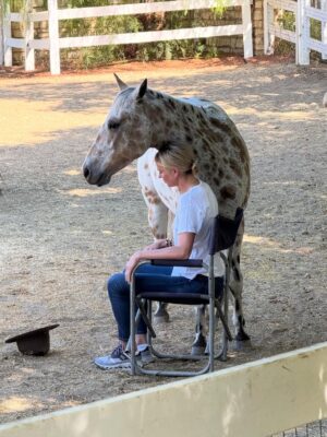 Kelly Noonan Instagram - On Friday after a heavy two days I did Equine Therapy with my brilliant facilitator @kateneliganequinecoach.
Horses are so sensitive. So good. So beautiful. But their wildness, strength, and size has always scared me. I first started doing equine therapy to get over my fear of horses but what has unfolded and what heals every time I work with horses has been massive, awe-inspiring, and mystical.
Horses hearts are five times the size of humans and they give off an electro-magnetic field that is healing just to be in the presence of. But they also tune into our energy and start to behave in ways that reflect back what they are picking up in our energetic field.
The beautiful spotted horse named Pico worked with my head space to remove old disempowering thought patterns and story loops. He also worked on my back and shoulder where I carry a lot of tension and unexpressed emotion. He also stood over me to experience receiving protective energy. That one hit deep. So much more transpired but I cried much needed tears. Grieving some personal heartache, some sadness around some very close family members dealing with gnarly stuff, and the collective heaviness of what’s been happening this week.
I had profound “aha’s” working with the horses but some of the takeaways were:
- I am moving into a new space with a higher perspective
- Joy and play are extremely important to my creativity and work, as that is my essence
- Be present, grounded in the presence of big energies and trust that I can handle it all and that I am worthy of receiving the love, protection, and abundance that life is presenting.
If this resonates, I highly encourage trying equine therapy. It’s incredible for trauma, neuro divergence and highly sensitive people, emotional and energetic roots of physical dis-eases, heartbreak, big transitions and so much more. Much love xx