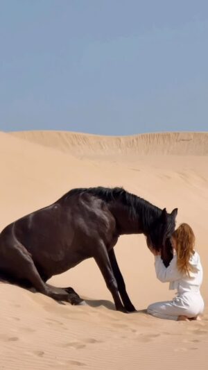 Kerri Kasem Instagram - And I thank God everyday… 

#morocco #horse #blessed
@essaouira_horseride 
@yassine_cavalier ♥️🐴