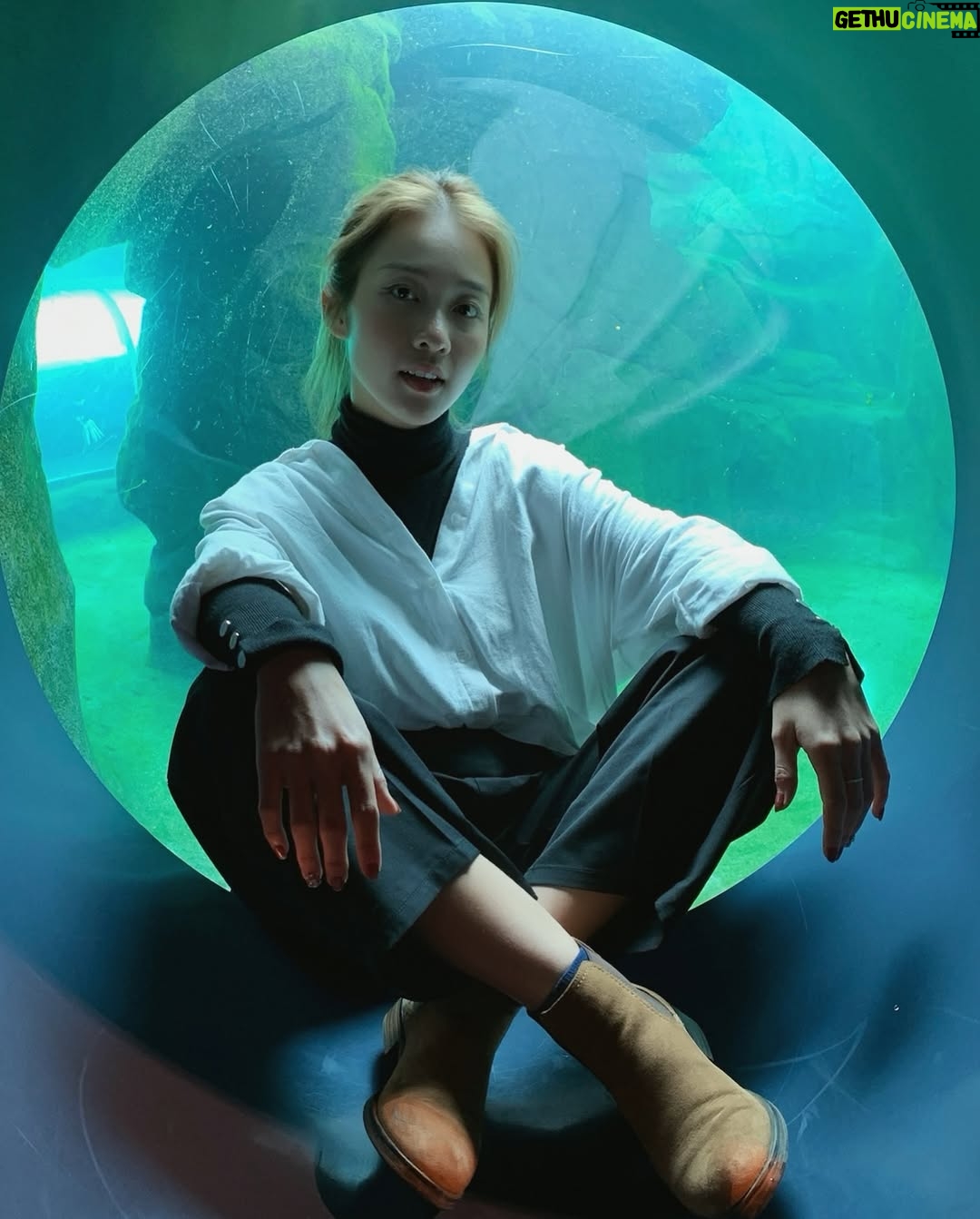 Khả Ngân - 15.5K Likes - 🪼🐠🐟🐬🐳🐋