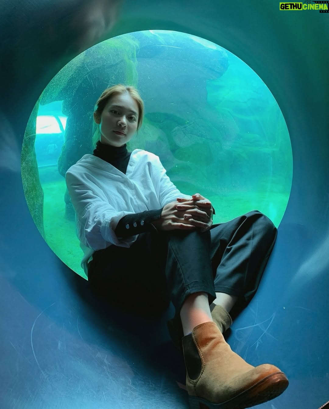 Khả Ngân - 15.5K Likes - 🪼🐠🐟🐬🐳🐋