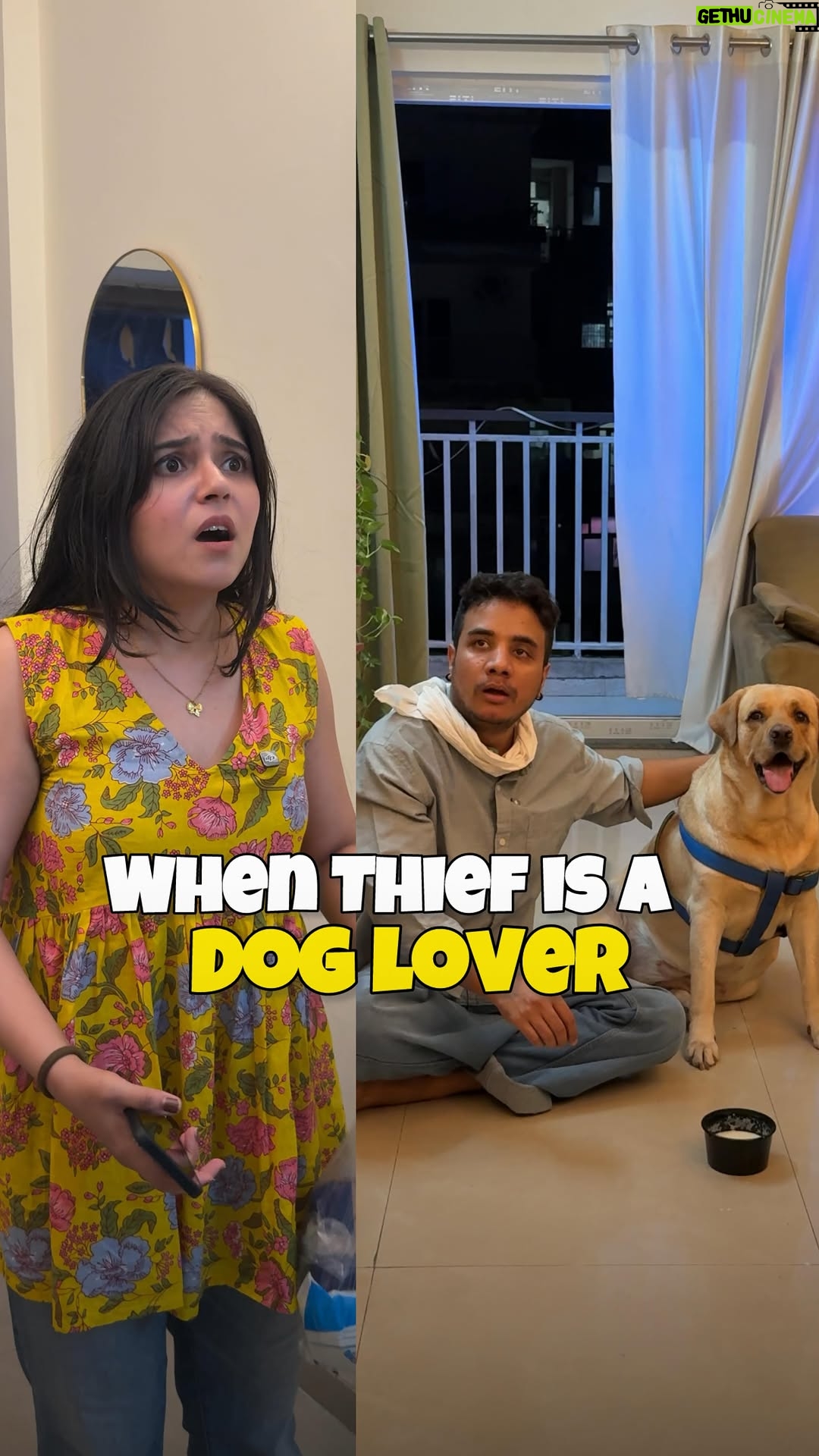 Khyati Sharma - 1.9K Likes - UNO Reverse Ultra Pro 

#doglover #dogsofinstagram #thief #doglovers