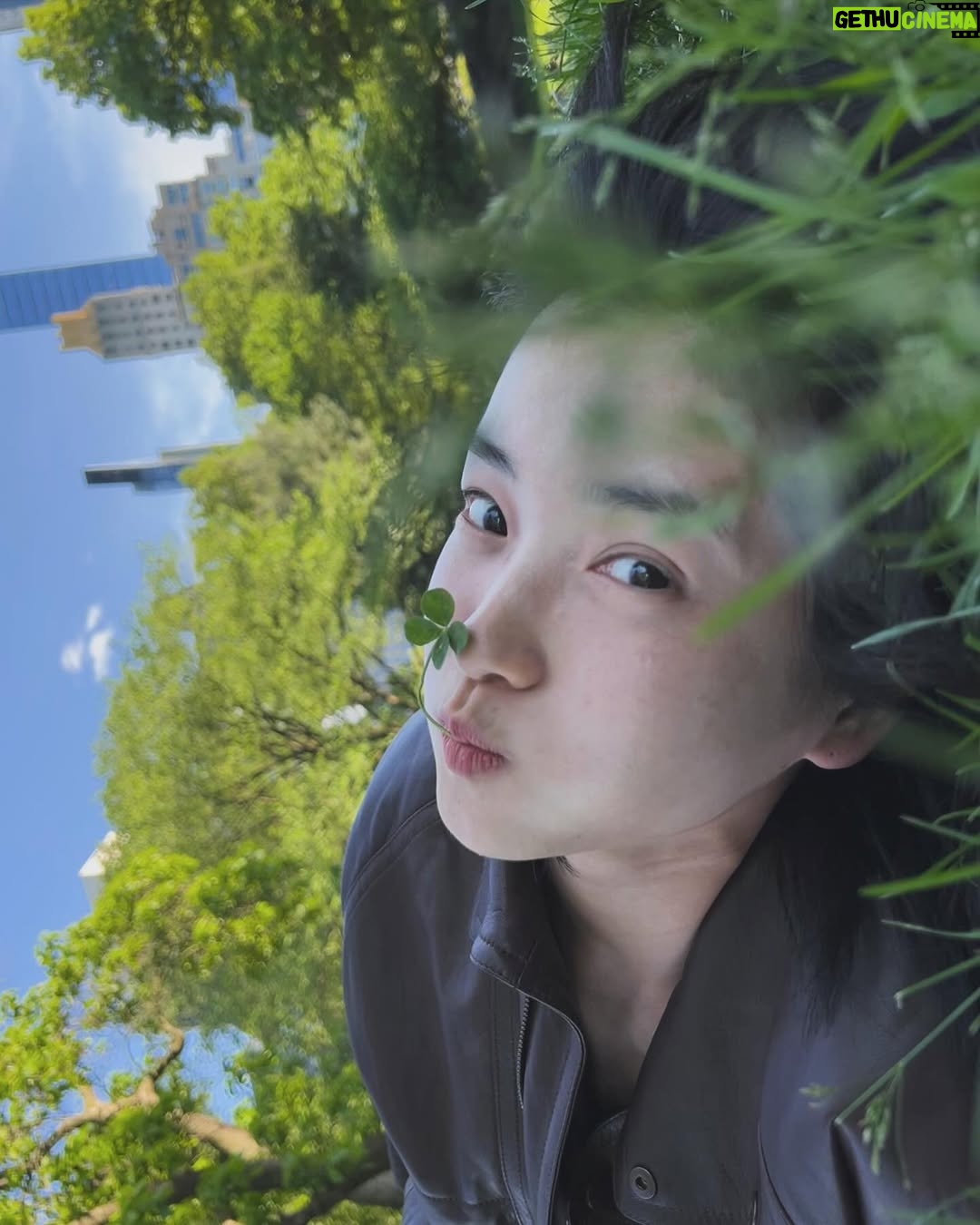 Kim Tae-ri - 448.9K Likes - 행운은 기세다~! 이 별에 필요한 네잎클로바💫🍀🐸🤟