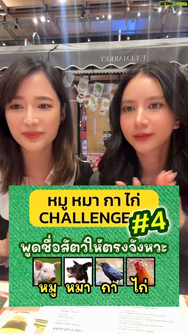 Kodchakorn Songsaengterm - 1.2K Likes - @gookgiik_kochakorn ชวนมา หมู หมา กา ไก่ 1234 😄😆😂 @robgongfriend #หมูหมากาไก่