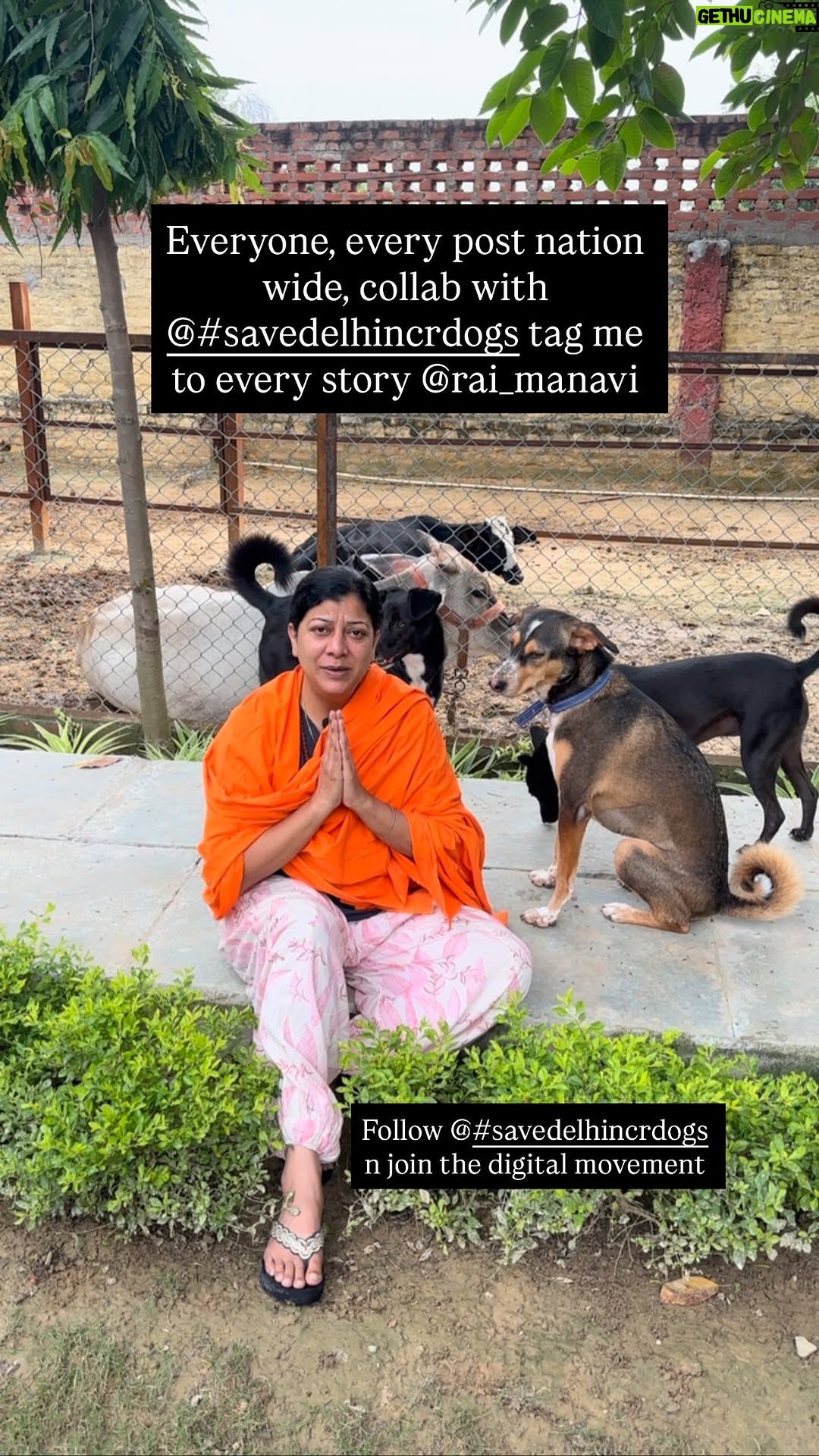 Kratika Sengar - 276.7K Likes - 1. Follow @savedelhincrdogs 
.
2. Collab every post with @savedelhincrdogs 
.
3. Tag me @rai_manavi to every story
.
4. Keep using hashtag: #savedelhincrdogs 
.
5. Share as much as possible with hashtag: #savedelhincrdogs 
.
Jai Pashupatinath 🙏🏻💪🏼