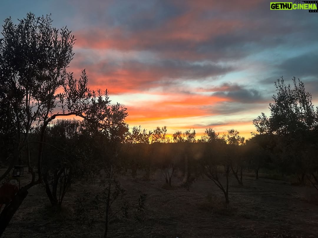 Laçin Ceylan - 175 Likes - #colors 
#naturephotography 
#nofilter 
#doğai̇yigelir