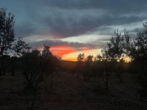 Laçin Ceylan Instagram - #colors 
#naturephotography 
#nofilter 
#doğai̇yigelir