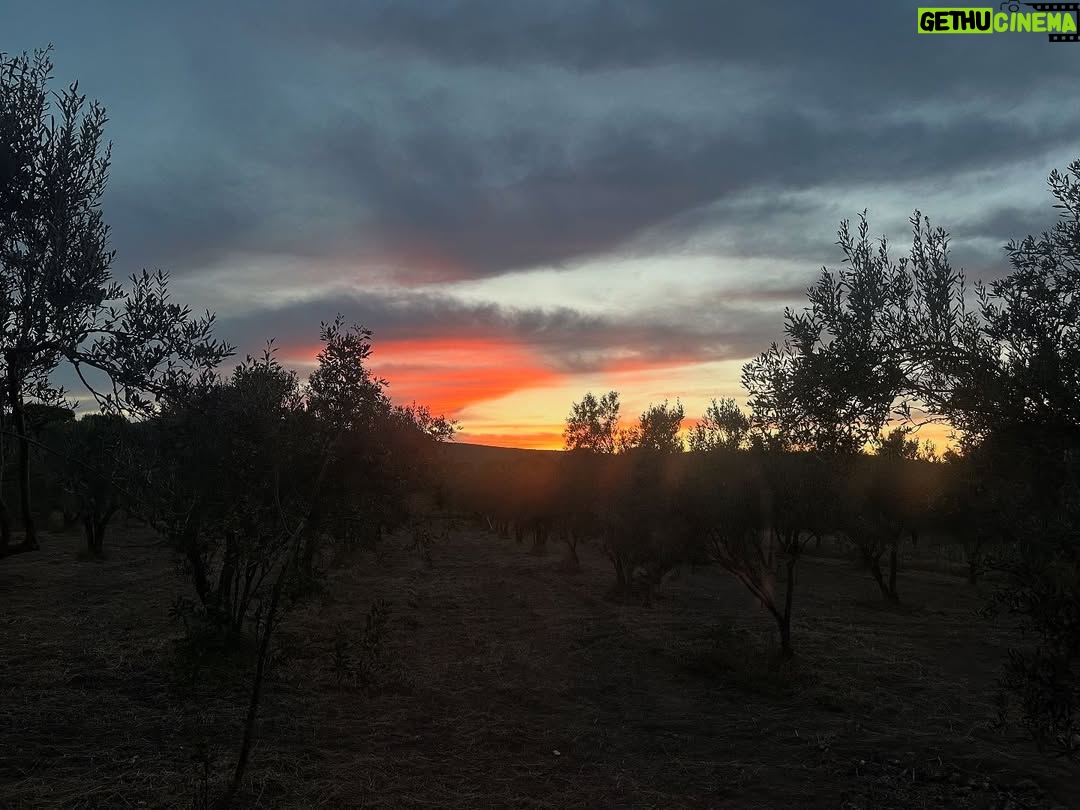 Laçin Ceylan - 175 Likes - #colors 
#naturephotography 
#nofilter 
#doğai̇yigelir