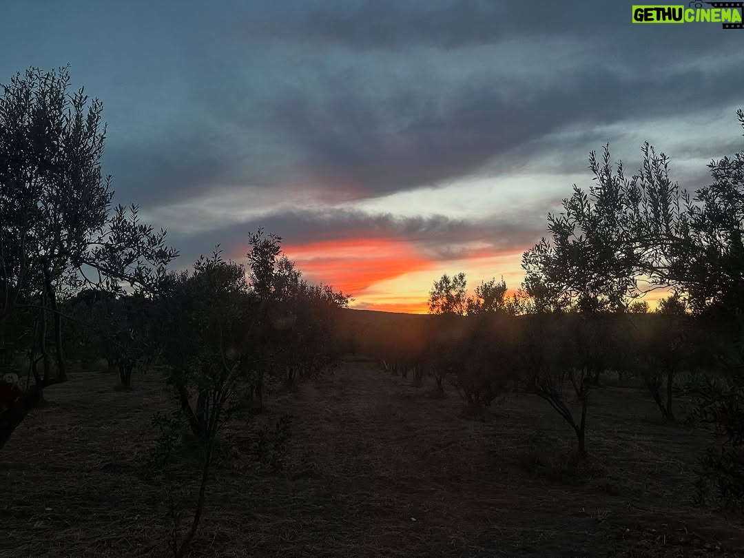 Laçin Ceylan - 175 Likes - #colors 
#naturephotography 
#nofilter 
#doğai̇yigelir