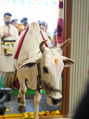 Lasya Manjunath Instagram - మా కలల ఇంటి గృహప్రవేశం…శుభారంభం మా గృహప్రవేశంతో 🏠🙏🏻
ప్రతి గోడలో ఒక కల, ప్రతి మూలలో ఒక జ్ఞాపకం… మా కొత్త గూడు😍❤️
కొత్త ఆరంభం… కొత్త జ్ఞాపకాలు 🫶🏻

.
.
.
.
.
.
MUA: @vinusha_makeoverartistry 
Hairstyling & saree draping : @lakshmikiran.veeraballi 
Maa vadina 😊 contact no (9121182606)

Saree: @pattusareeswholesale 
Blouse stitching and work: @aa.dhi.ra_designerstudio 
Manju and kids outfits : @vedulaswardrobe 
Jewellery : @umgnaveengold 
Bangles : @theweddingbangles.official 
Photography : @momentmakersphotography 
.
.
#lasyamanjunath #Gruhapravesham
#MaaKalalaInti
#Housewarming
#NewBeginnings
#DreamHome
#OurNewHome
#HomeSweetHome
#BlessedHome
#FamilyMoments
#newchapter #మా_కలల_ఇంటి_గృహప్రవేశం
#గృహప్రవేశం
#దేవుని_ఆశీర్వాదంతో
#శుభారంభం
#కొత్తఆరంభం
#మాకొత్తగూడు
#మనఇల్లు_మనస్వప్నం