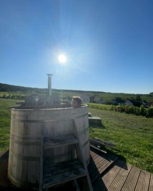 Laura Tesoro Instagram - 29 trips around the sun, but the last one was in the best company 🌞🥂💖