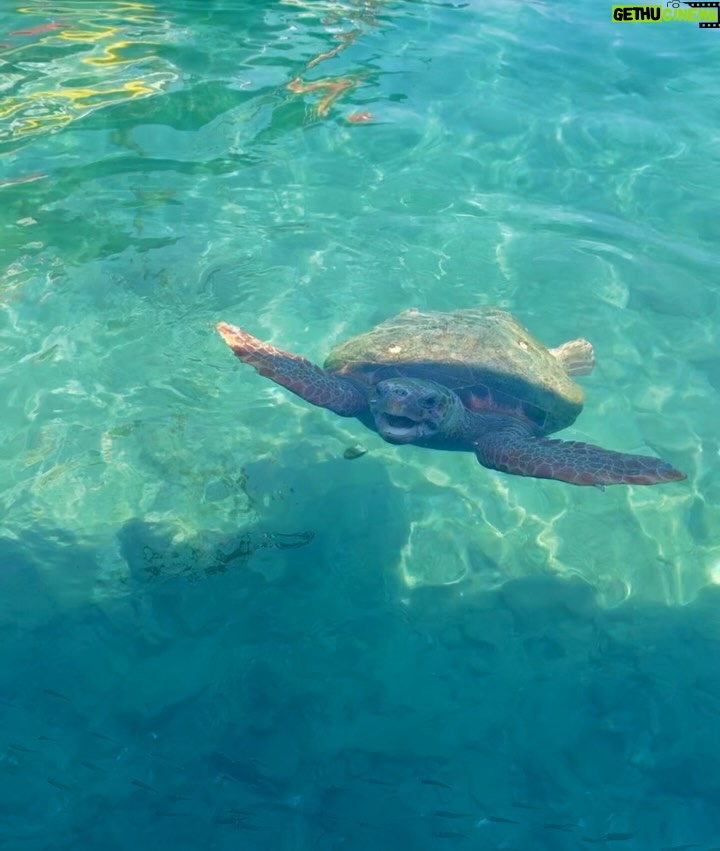 Laura Torrisi - 56.5K Likes - “Dedicato a tutti quelli che stanno scappando”.
Tratto da “Mediterraneo” di Gabriele Salvatores 
Film interamente girato su quest’isola meravigliosa:
Kastellorizo 🧿🇬🇷💙