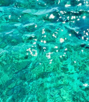 Laura Torrisi Instagram - 🌊🍹🌺🐚🌴🐠🍝☀️🪸🏖️🔥🍋🌈🐡🍉🐝
