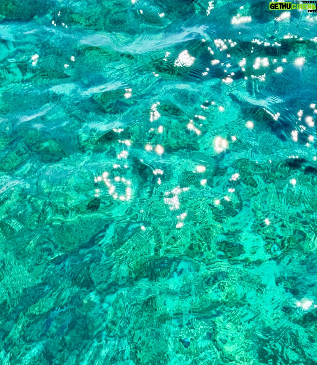 Laura Torrisi - 55.6K Likes - 🌊🍹🌺🐚🌴🐠🍝☀️🪸🏖️🔥🍋🌈🐡🍉🐝