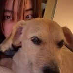 Lee Joo-young