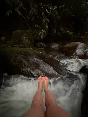 Leticia Spiller Instagram - Alguns registros para dizer que somos ela 💚🍀🍃☀️🙏🏽 #natureza 

#diadanatureza é todo dia
