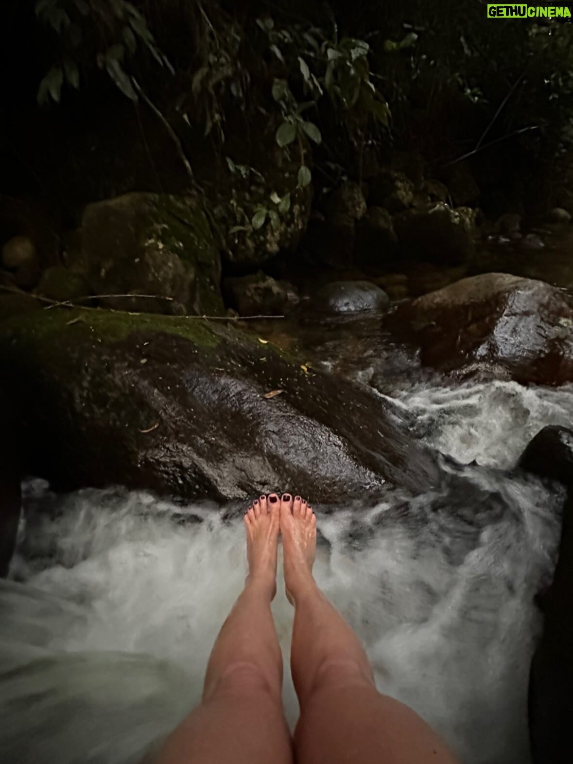 Leticia Spiller - 71.6K Likes - Alguns registros para dizer que somos ela 💚🍀🍃☀️🙏🏽 #natureza 

#diadanatureza é todo dia
