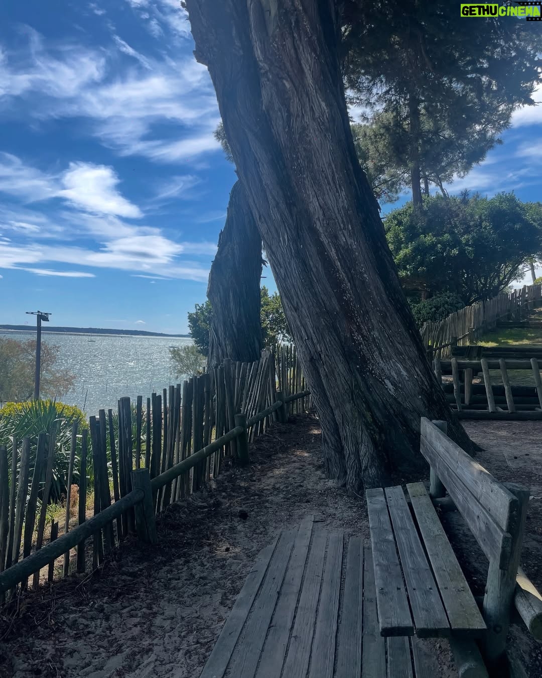 Lévanah Solomon - 5.9K Likes - 🎁 SUPER CONCOURS avec @myvvf ✨Publicité
Nous avons eu le plaisir de passer un séjour sur la Presqu’île du Bonheur, comme aime l’appeler David, le directeur du @vvf_legecapferret. 🏝️

Un grand merci à toute la team pour l’accueil tellement chaleureux. ✨

Le dépaysement a été total et quels paysages nous avons découverts ! La région est vraiment magnifique.✨

D’ailleurs, nous venons de sortir une vidéo super fun de notre séjour sur notre chaîne YouTube. Tu l’as vue ? ✨

Comme promis, nous sommes heureux de partager avec toi un super concours.💛

🎁Tente de remporter un super séjour de 3 jours et 2 nuits en location pour 4-5 personnes (hors prestations restauration et annexes) dans le village de ton choix parmi les destinations VVF (hors sites partenaires et hôtels). 

*Offre Valable 12 mois à partir de l’émission du bon, en fonction des disponibilités au moment de la réservation.

✨Pour participer, c’est très simple :
➡️ Like et enregistre ce post ! 👍
➡️ Suis les comptes @myvvf, @karinesolomon et @levanah_off 
➡️ Taggue des ami.e.s en commentaire qui aimerait profiter de ce super séjour🏝️et dis-nous qui a remporté l’épreuve du basket 🏀 dans notre dernière vidéo YouTube ?
➡️ Participe autant que tu veux dans les commentaires et partage en story en nous mentionnant pour plus de chances de gagner.🍀

🎲 À toi de jouer !🤞🏻

✨Le gagnant sera désigné dans une semaine. 🙌

⛱️ Pour tes futures vacances, avec le code SOL10 profite de 10% de réduction cumulable (hors avantages), pour tous séjours à partir de 2 nuits, toutes les destinations (sauf camping et partenaires), jusqu’au 15 juin 2025 (pour un séjour jusqu’au 2 novembre 2025) sur https://www.vvf.fr/

#concours #travel #family #vvf #CapFerret #ConcoursInstagram #JeuConcours #Vacances2025 #Voyage #TravelGram #SummerVibes #ExploreFrance #OceanLife #BonPlanVoyage #CôteAtlantique #SunsetLovers #PhotoContest #InstaTravel #karinesolomon