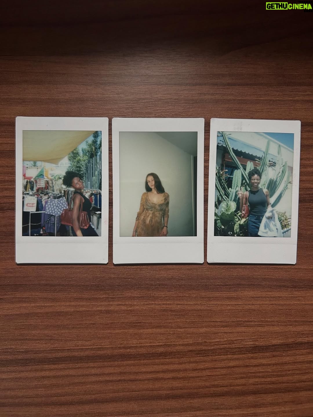 Lola Tung - 2 Million Likes - August ✨🍇🌵 captured on my instax mini 12 #instaxpartner #shotoninstax