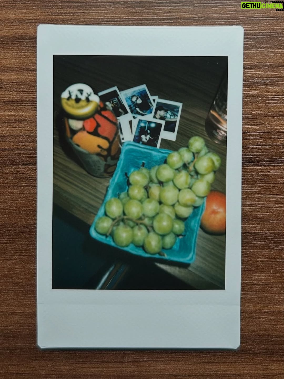 Lola Tung - 2 Million Likes - August ✨🍇🌵 captured on my instax mini 12 #instaxpartner #shotoninstax