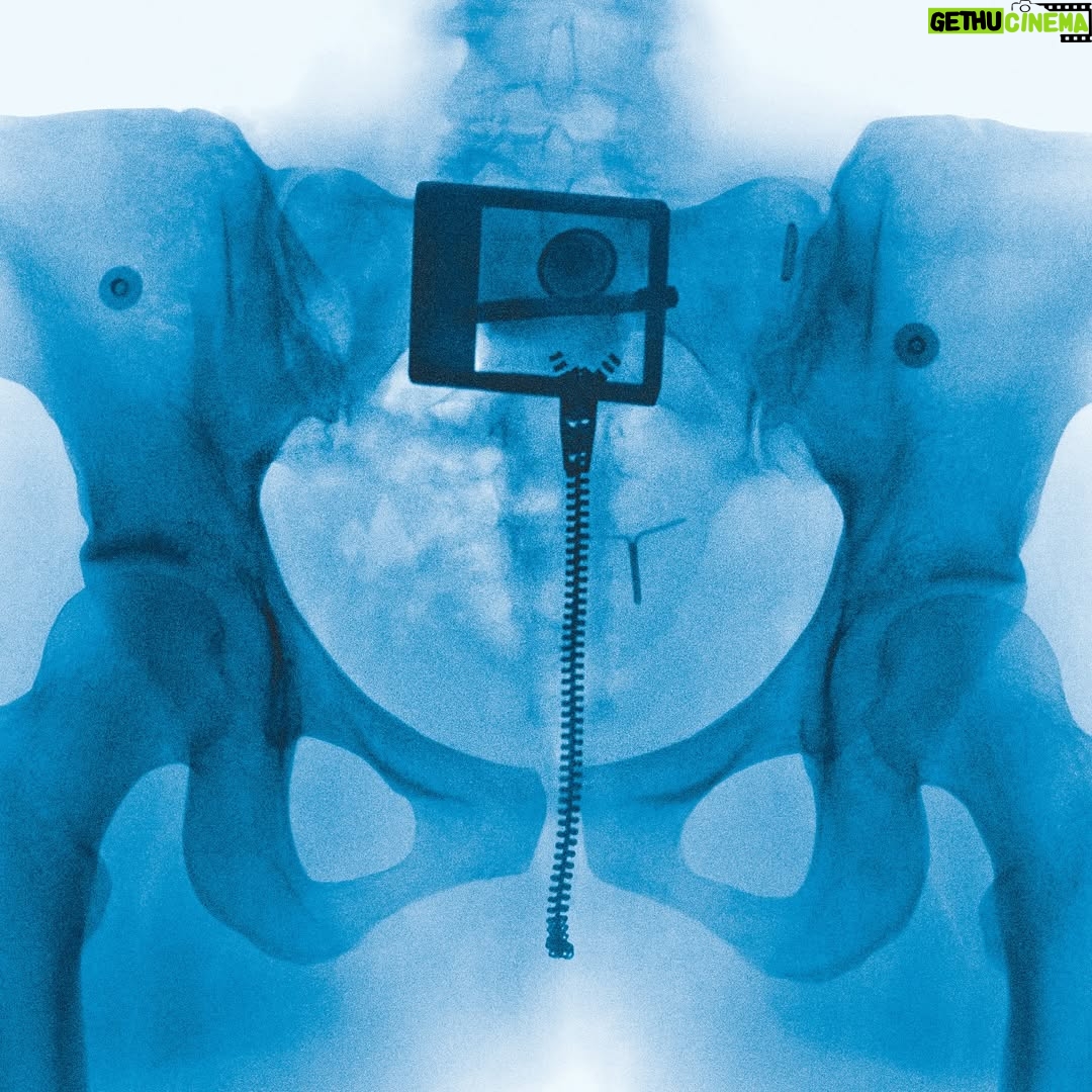 Lorde - 587.5K Likes - Virgin