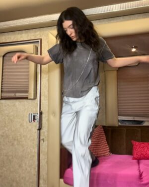Lorde Instagram - Indio haze