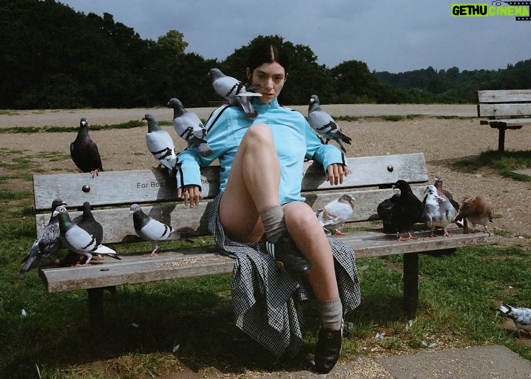 Lorde - 435.2K Likes - When ur holding a hammer …..