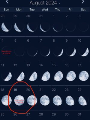 Lulu Wang Instagram - One year since we spontaneously eloped. We thought it was just a random Monday, but later, @tajpaxton GASPED at the timestamp on the first frame of her video when the ceremony began. She realized the divine timing because (of course) she had the super blue moon calendar saved on her phone. 💙🌑