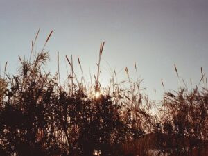 Lulu Wang Instagram - Our dear and talented friend @de.luca.gabi took these film images of a very special time in a very special place.