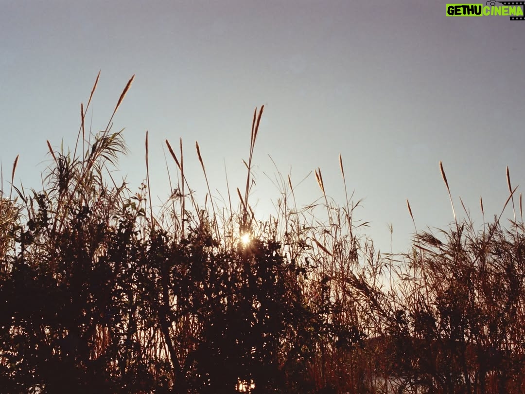 Lulu Wang - 12K Likes - Our dear and talented friend @de.luca.gabi took these film images of a very special time in a very special place.