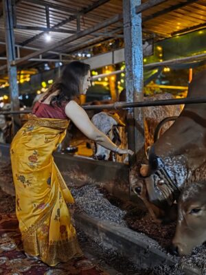 Madhurani Gokhale Instagram - माझी बहीण अमृता सहस्रबुद्धे आणि तिचे पती रविशंकर सहस्रबुद्धे यांची रावेत येथे १०० देशी गायींची गोशाळा आहे. काल वसुबारसेनिमित्त तिथे मोठे यज्ञ झाला. कालची वसुबारस छान साजरी झाली.
@gokhalesahasrabudhe
@ravishankar79
