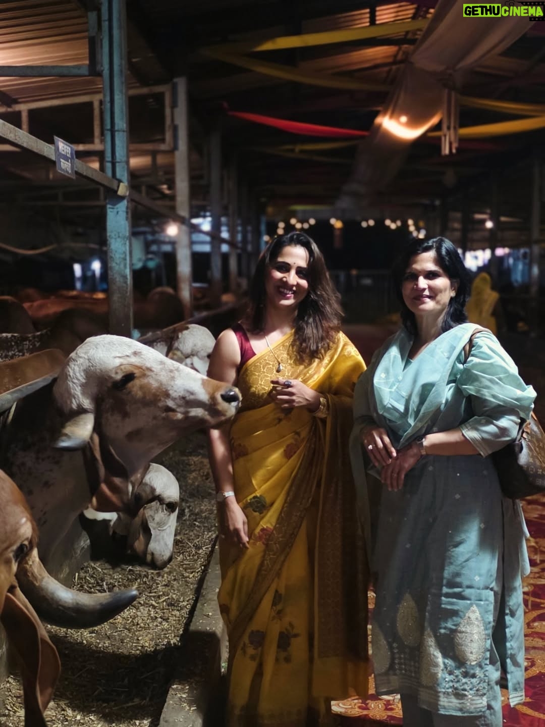 Madhurani Gokhale - 5.4K Likes - माझी बहीण अमृता सहस्रबुद्धे आणि तिचे पती रविशंकर सहस्रबुद्धे यांची रावेत येथे १०० देशी गायींची गोशाळा आहे. काल वसुबारसेनिमित्त तिथे मोठे यज्ञ झाला. कालची वसुबारस छान साजरी झाली.
@gokhalesahasrabudhe
@ravishankar79